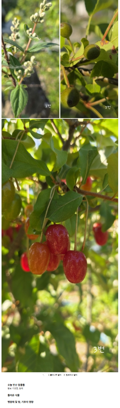 ����ũ�Ժ���