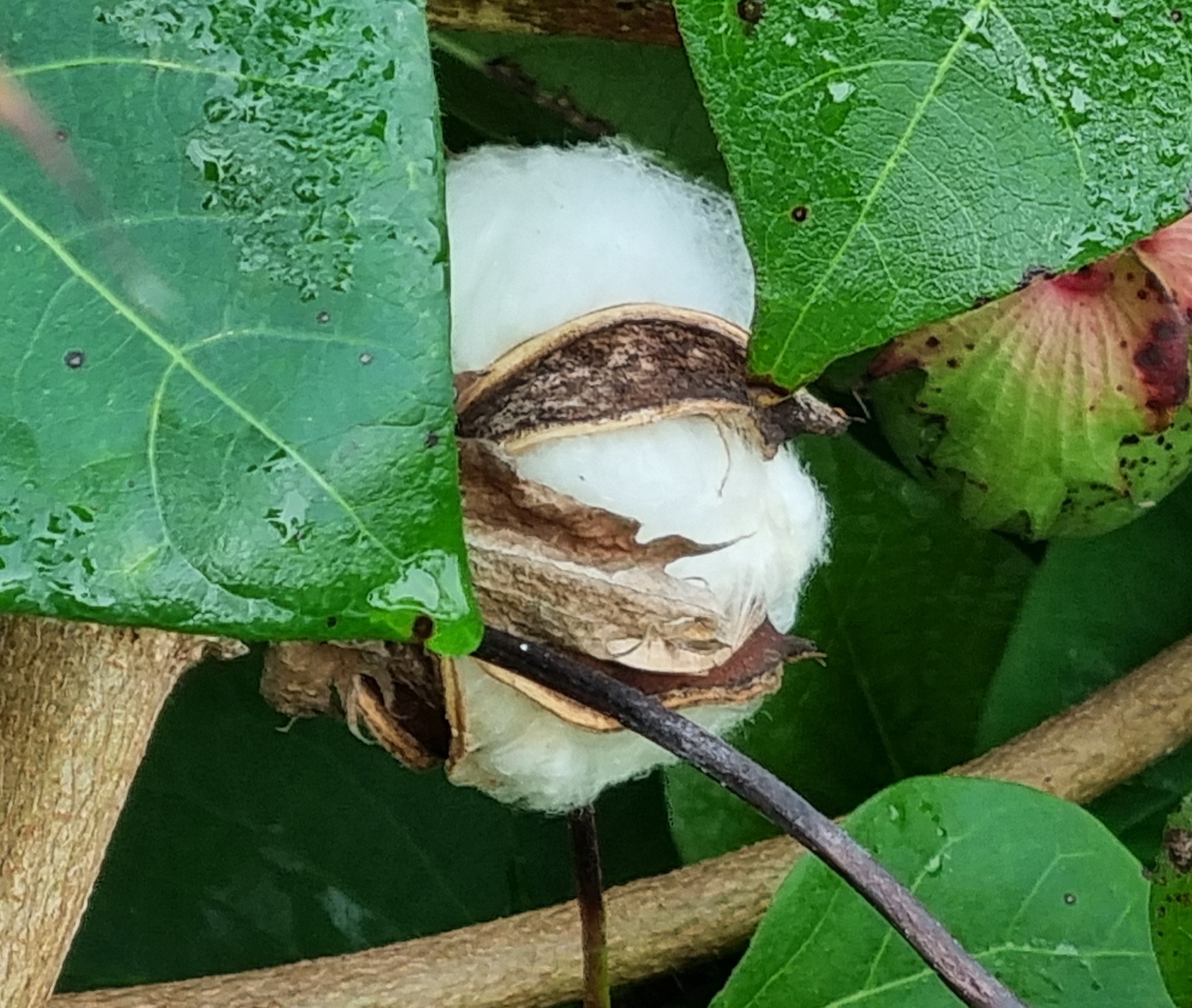 ����ũ�Ժ���